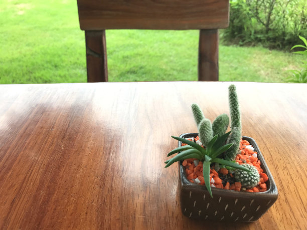 木桌上有棕色和绿色的小仙人掌。椅子和草图片下载