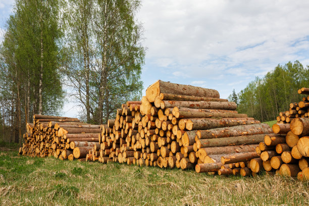 成堆的日志图片下载
