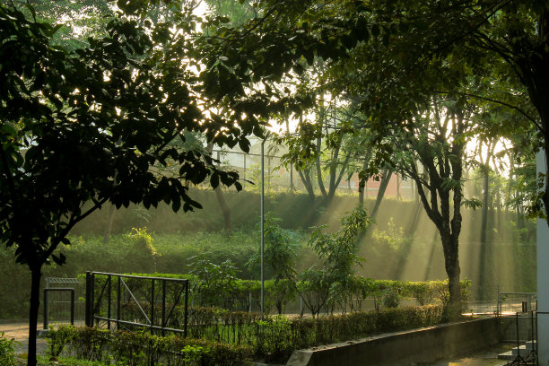 Heafen之光图片下载