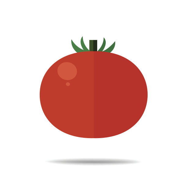 番茄果实向量图片下载