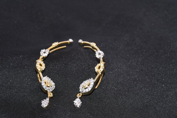 给女人戴的花哨的人造耳环图片下载