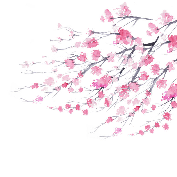 樱花枝素材图片
