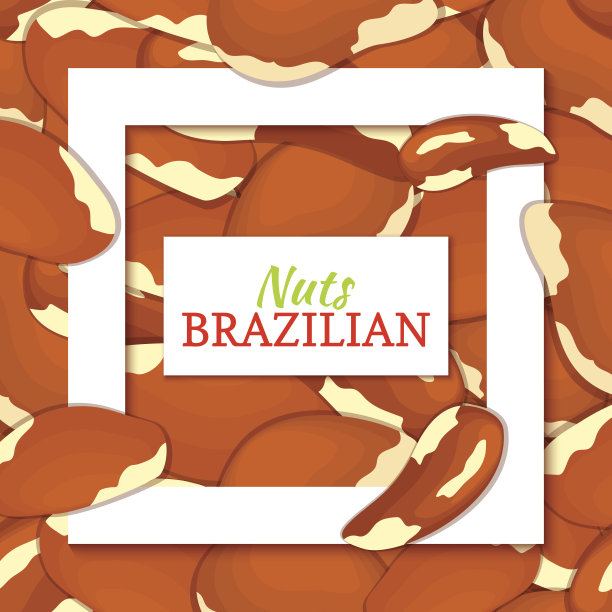 方形白色框架和矩形标签在巴西坚果的背景。矢量插图。图片下载