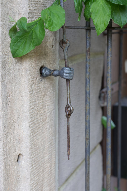 德国南部巴伐利亚的一座历史城市的外墙上爬满了常春藤和绿叶图片下载