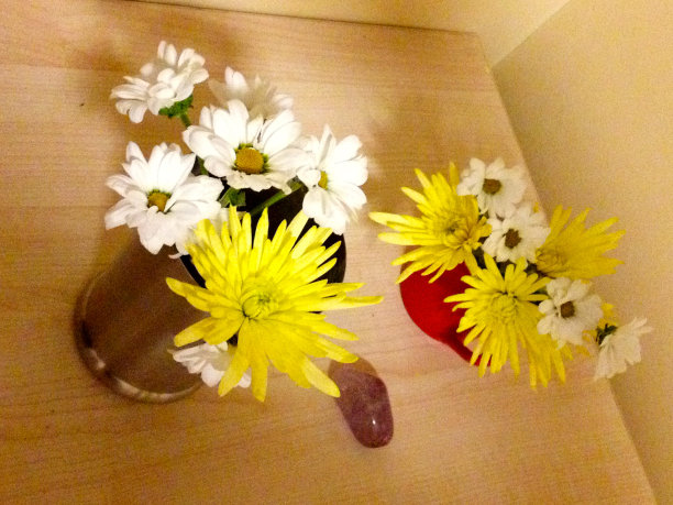 使我的一天图片下载