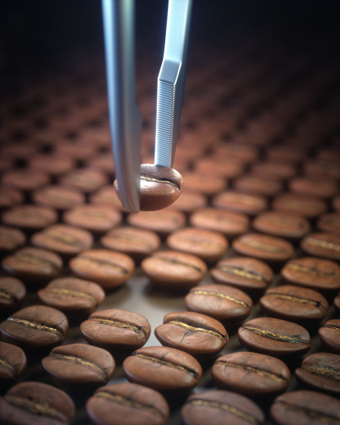 最好的烘焙咖啡豆图片下载