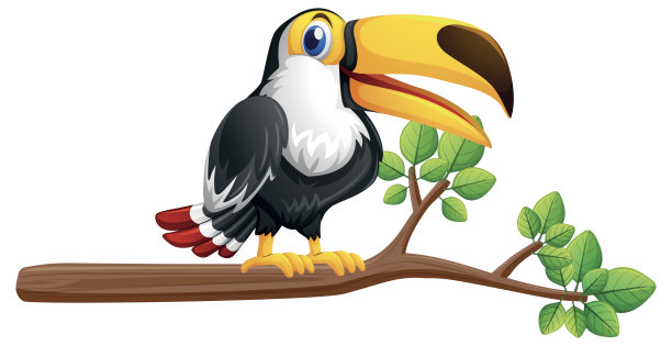 巨嘴鸟在树枝上图片下载