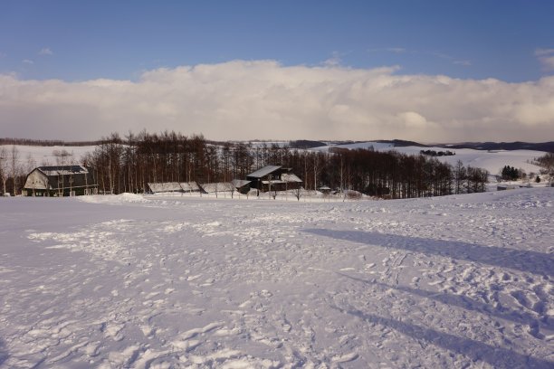 北海道碧空雪野图片下载