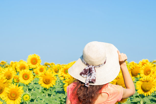 戴着草帽的时髦女人在向日葵地里。旅游女孩享受夏日日落在向日葵的田野图片下载