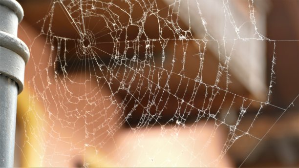 大网在光的背景上图片下载