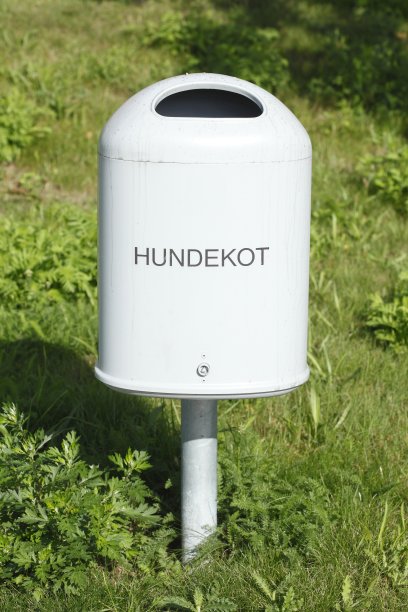 公共的白色垃圾，用狗粪图片下载