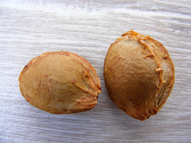 杏仁，制药工业原料苦杏仁图片，药用生产用杏仁图片，天然杏仁，图片下载