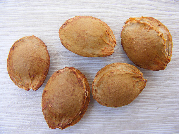 杏仁，制药工业原料苦杏仁图片，药用生产用杏仁图片，天然杏仁，图片下载