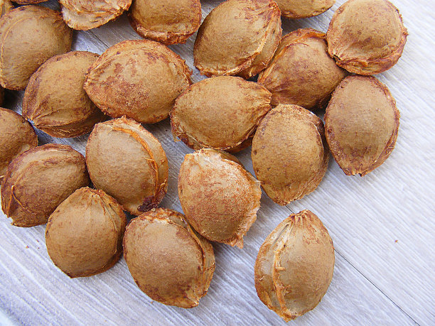 杏仁，制药工业原料苦杏仁图片，药用生产用杏仁图片，天然杏仁，图片下载