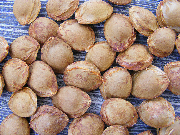 杏仁，制药工业原料苦杏仁图片，药用生产用杏仁图片，天然杏仁，图片下载