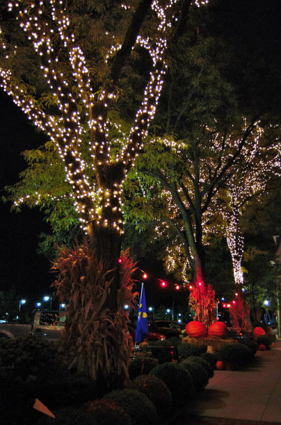 万圣节之夜图片下载