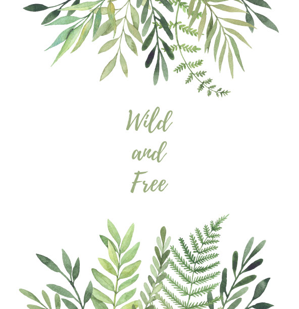 叶子插画素材ID：307854210