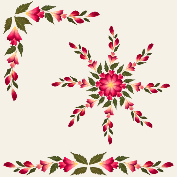 鲜红的干花，叶子为绿色，背景为奶油色。花的框架和边框。图片下载