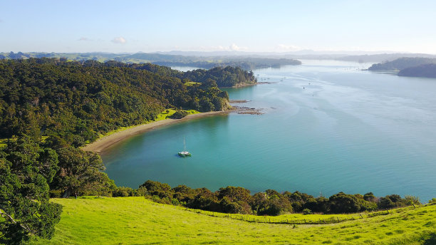 鸟瞰图美丽的海港，阳光明媚的海滩和周围的山坡，新西兰素材图片