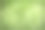特写图像绿色的草，草的背景，鸟瞰视图。图片下载