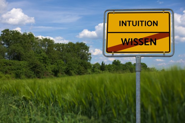 知识，直觉，照片来自于社交媒体，单词，图像，图解图片下载
