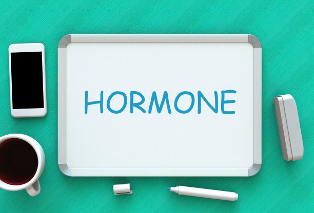 荷尔蒙，白板上的信息，智能手机，桌上的咖啡，3D渲染图片下载