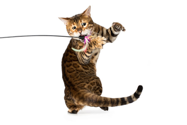 ♪爸爸妈妈外出度假♪图片下载