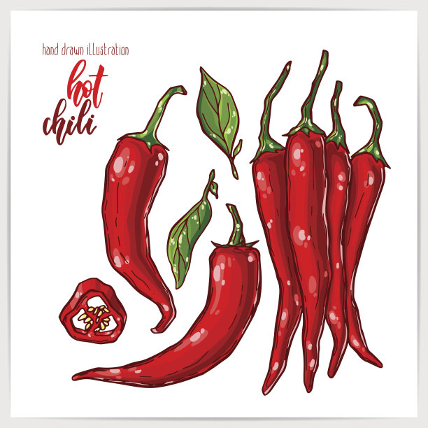 矢量插图彩色手绘辣椒。整片和切片。图片下载