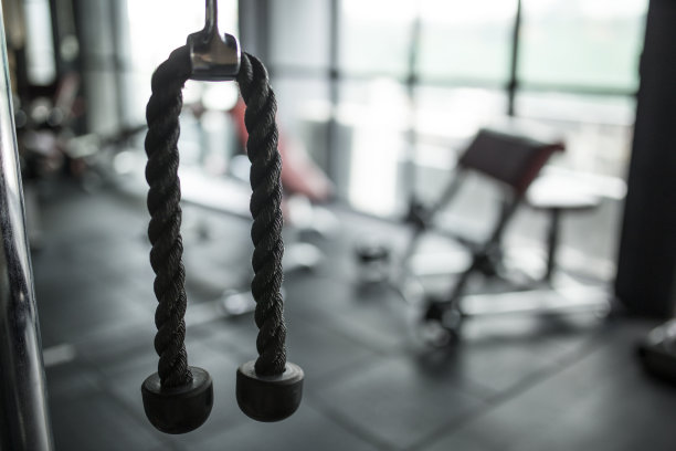 运动器材图片素材ID：307890858