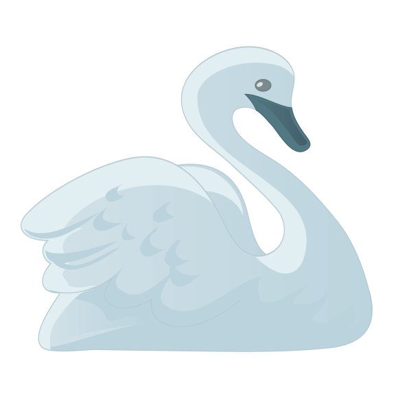 矢量图像天鹅在一个简单的风格在一个白色的背景。图片下载