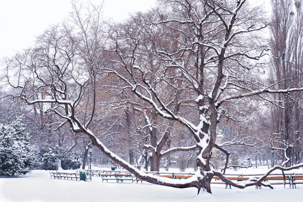冬天的城市公园图片下载