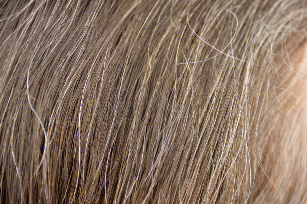 灰色的头发图片下载