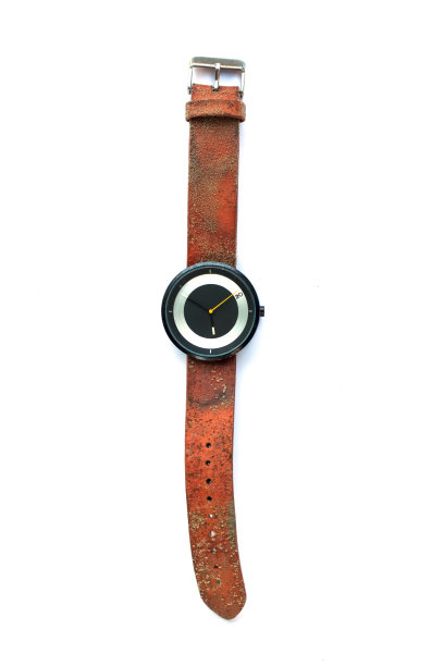 带真菌的表带。图片下载