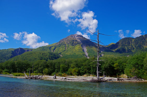 上口yakedake图片下载