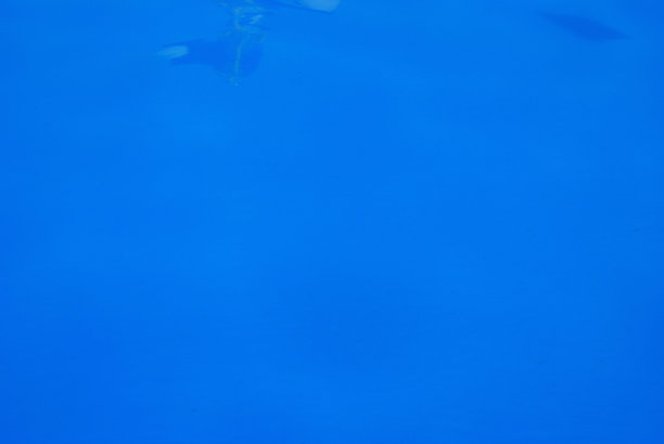 游泳池图片下载