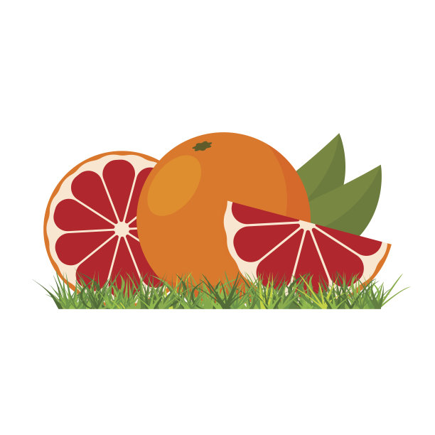 在草地上的葡萄柚。矢量插图。图片下载