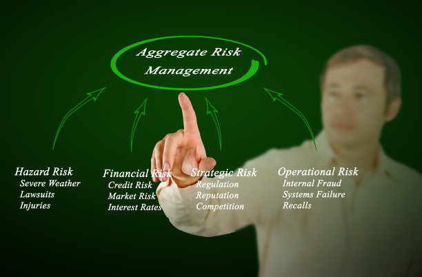 综合风险管理图片下载