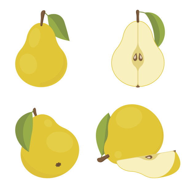 向量梨。把整个水果切成两半。图片下载