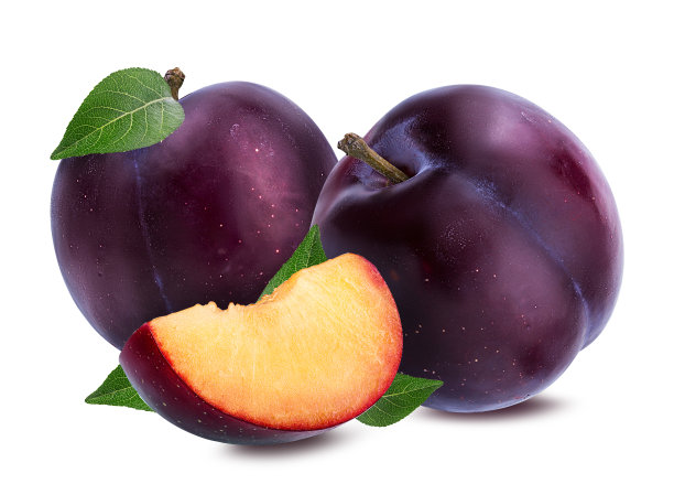 白色的李子图片下载