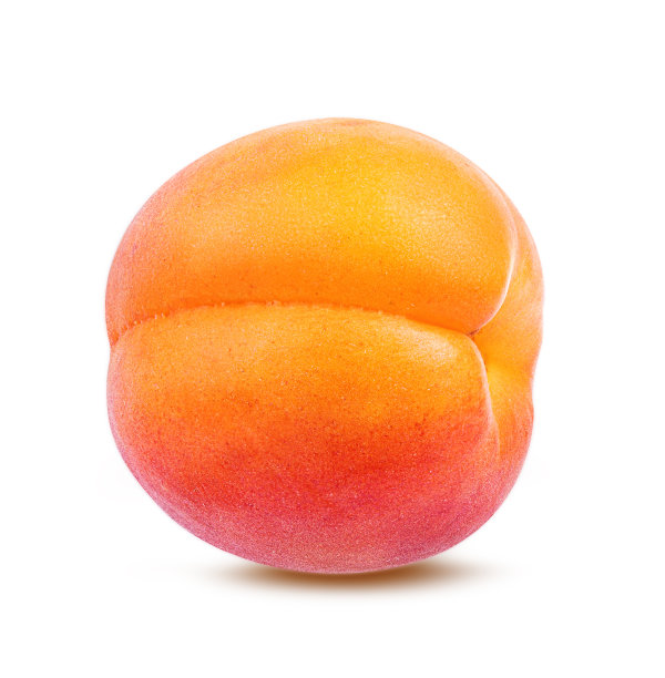 杏子孤立在白色上图片下载