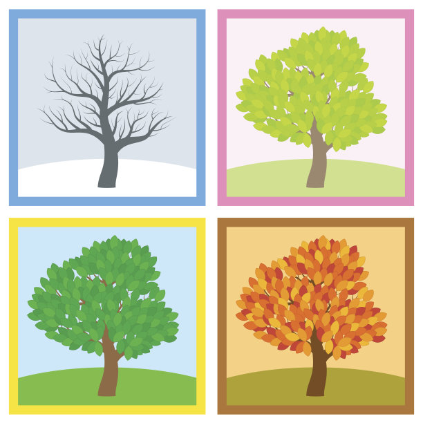 树在冬天，春天，夏天和秋天，不同的叶子在典型的颜色和阴影，而树叶在一年中不断变化。矢量插图。图片下载