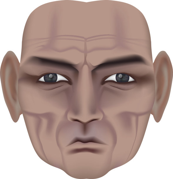 老人脸上有深深的皱纹。皱眉的表情。明智的老人。由渐变网格制作图片下载