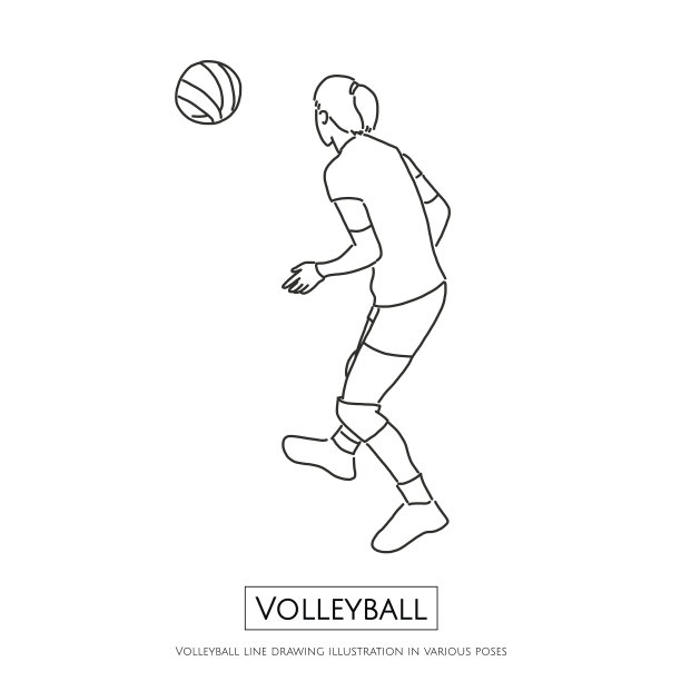 排球线画插画的各种姿态，线画矢量插画平面设计图片下载