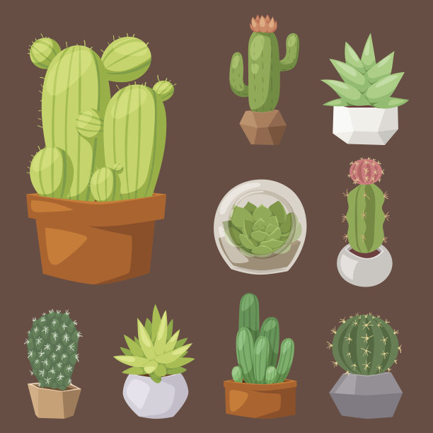 仙人掌自然沙漠花绿色墨西哥肉质热带植物仙人掌花载体插图图片下载