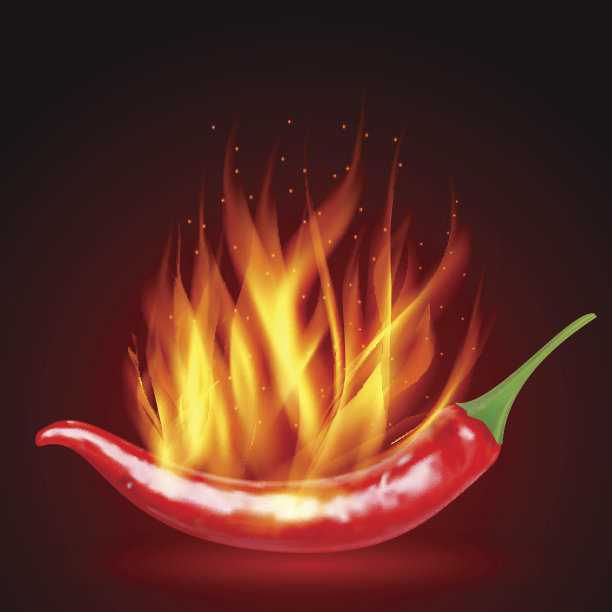 红辣椒天然辣椒荚现实图像与阴影烹饪产品和食谱矢量插图图片下载
