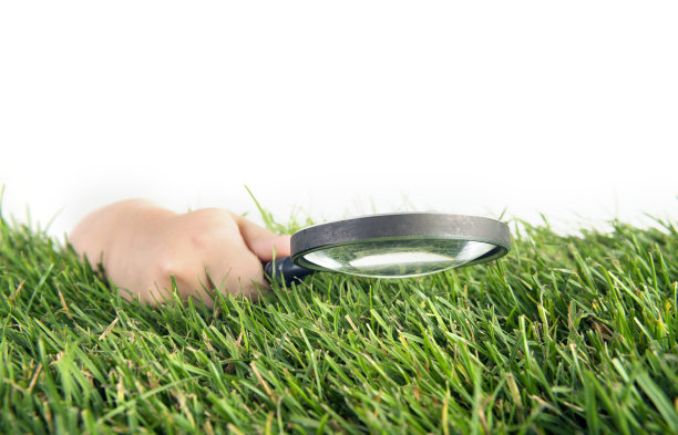 用放大镜探索大自然图片下载