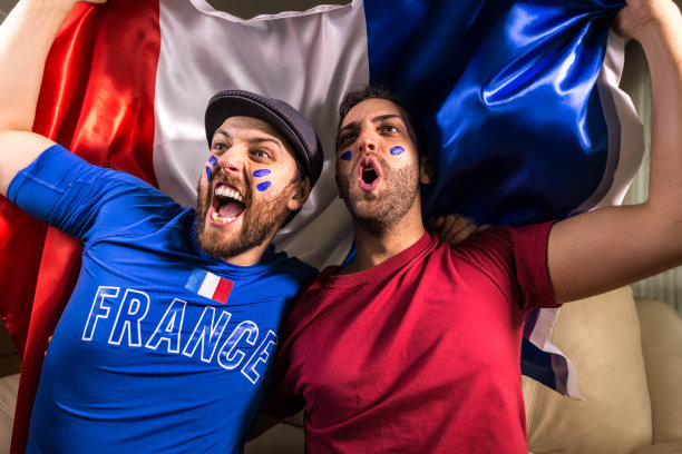 法国球迷举着国旗图片下载