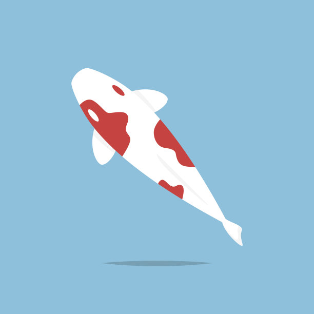 锦鲤鱼图标矢量孤立素材图片