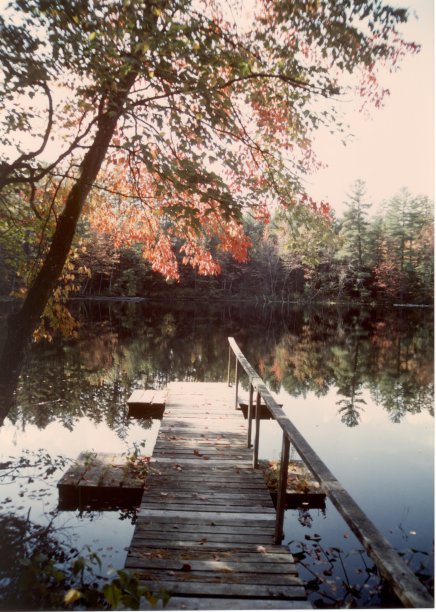 秋天降落在湖面上图片下载