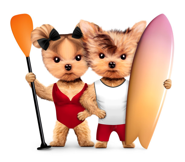 穿着泳衣的动物可以冲浪和划桨图片下载